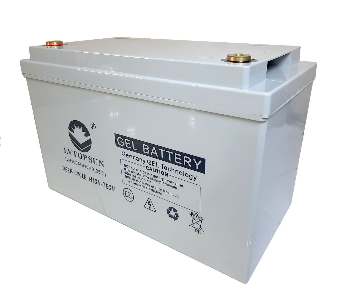 Lvtopsun 12V 100Ah Gel Battery